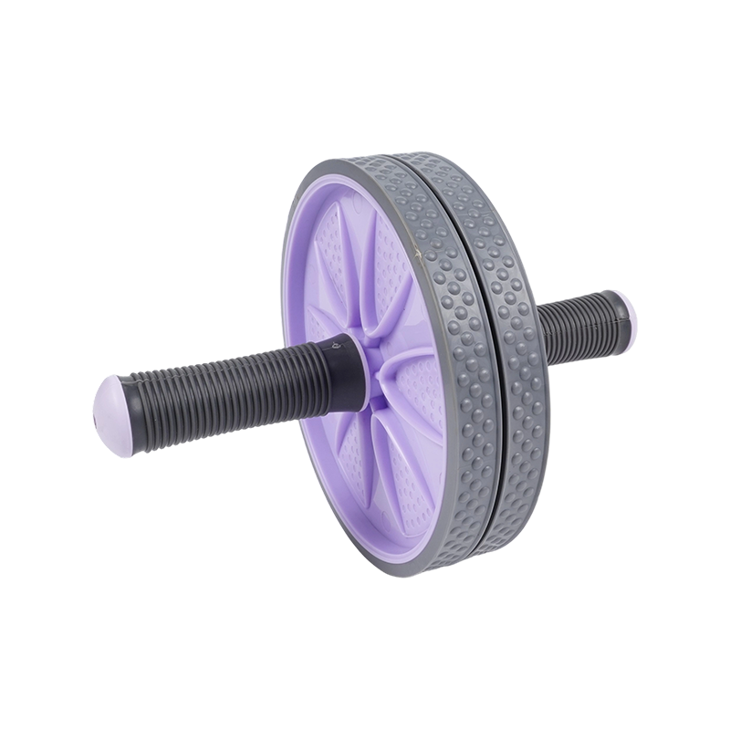 U informibus abdominis Rota U informibus abdominis Rota