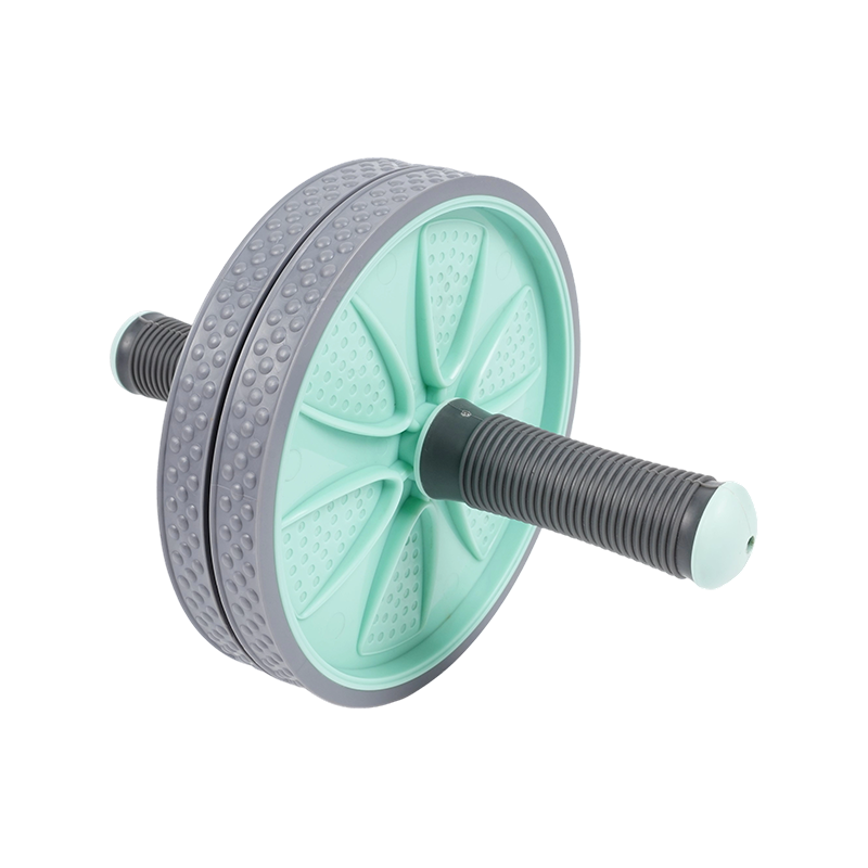 U informibus abdominis Rota U informibus abdominis Rota