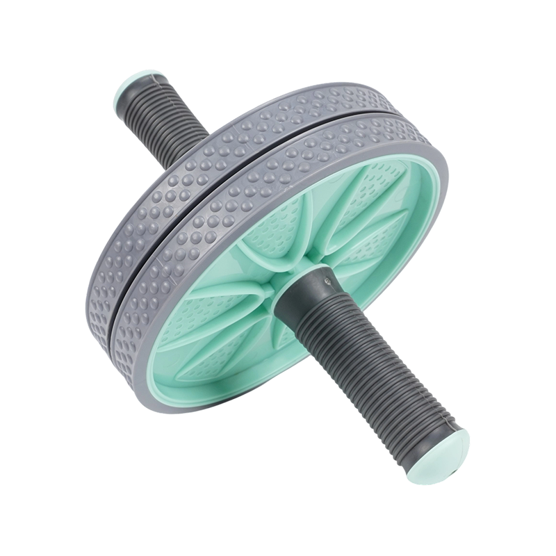 U informibus abdominis Rota U informibus abdominis Rota