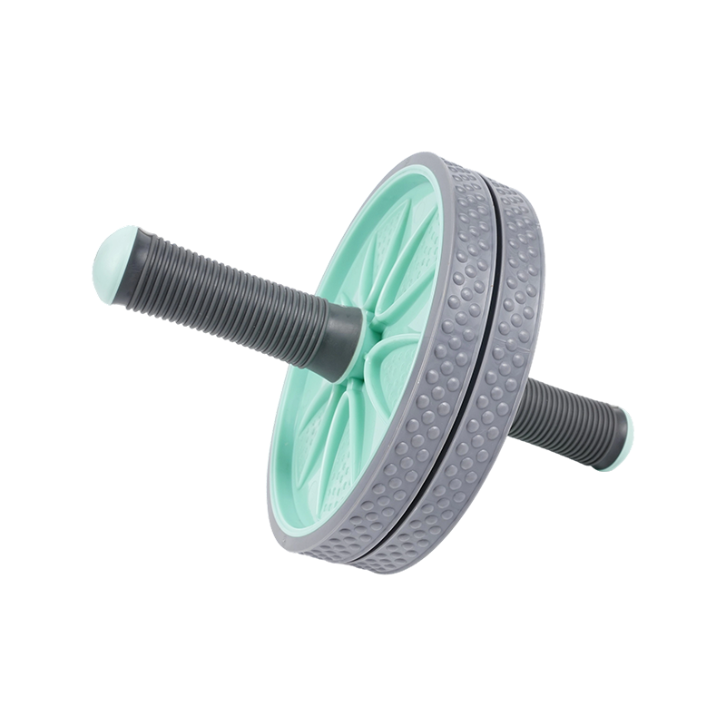 U informibus abdominis Rota U informibus abdominis Rota