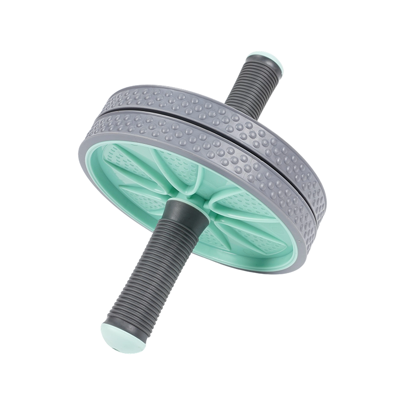 U informibus abdominis Rota U informibus abdominis Rota