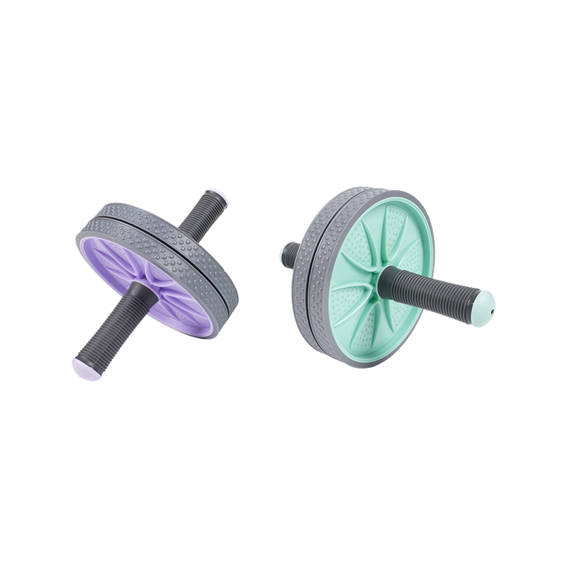 U informibus abdominis Rota U informibus abdominis Rota