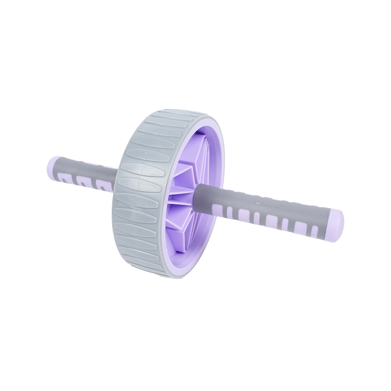 Rota lata abdominis Rota Rota lata abdominis Rota