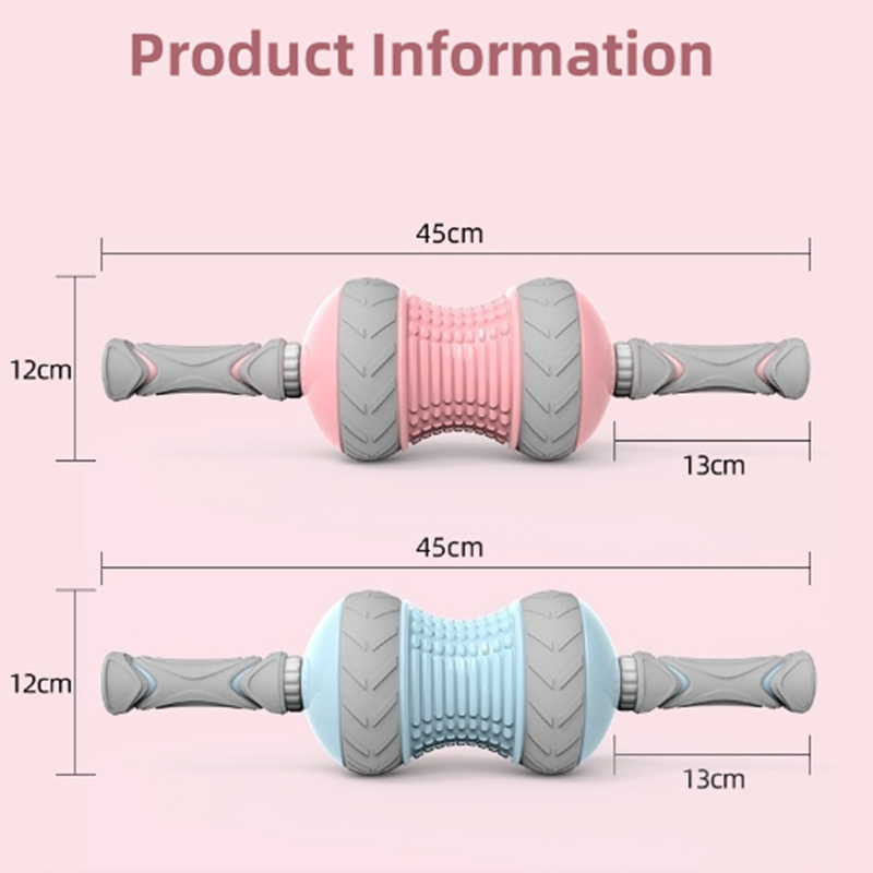 Multifunctioni abdominalis Rota Multifunctioni abdominalis Rota