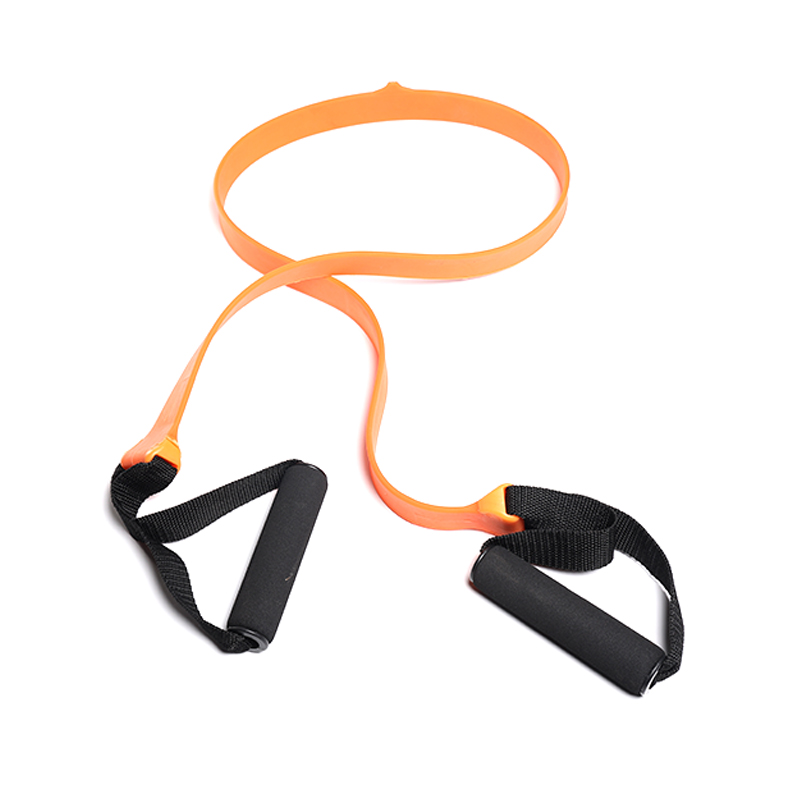 Training Training Cingulum TPR excute