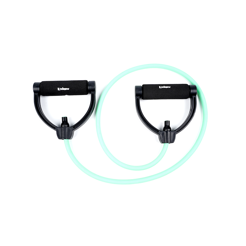 U- manubrium resistentia I U- manubrium resistentia I