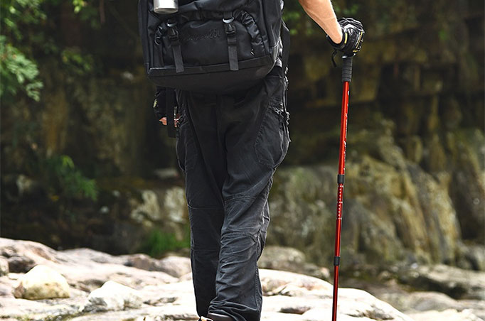Trekking Polis