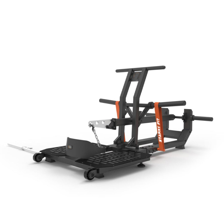 Balteum Squat<br />BB-02