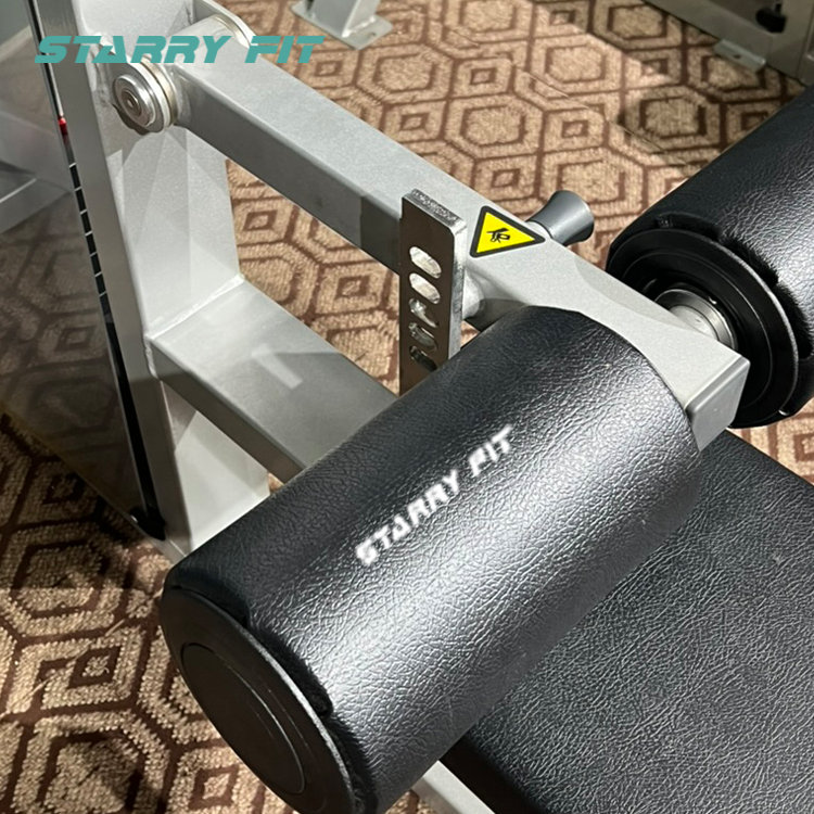 Princeps Musculus viverra<br />HS-PD Princeps Musculus viverra<br />HS-PD