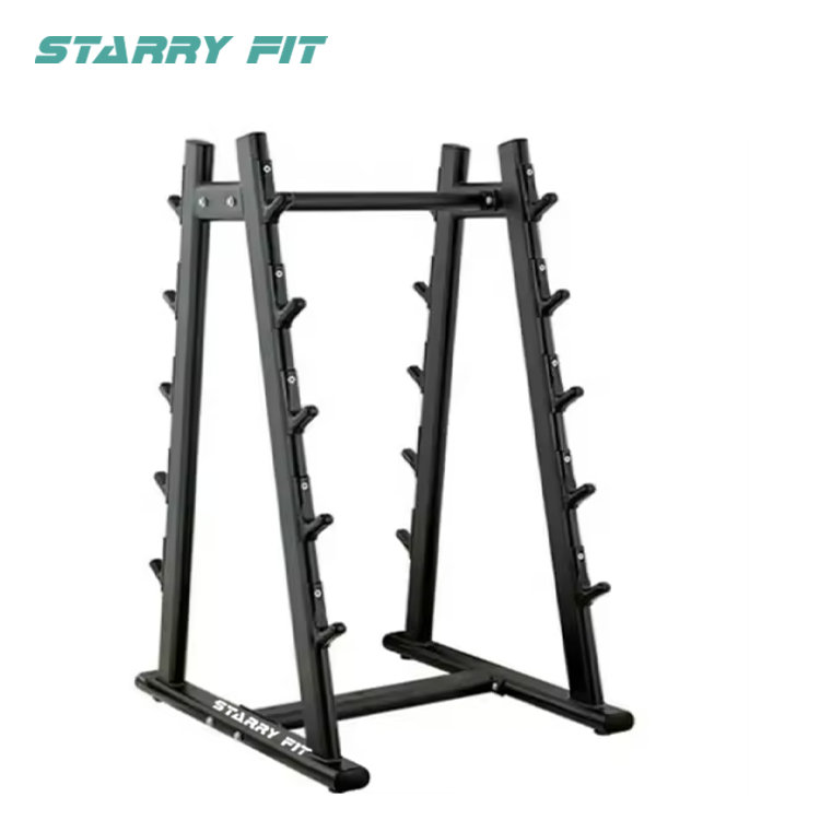 Barbell Rack<br />Lecţia LF-R-SBBR Barbell Rack<br />Lecţia LF-R-SBBR